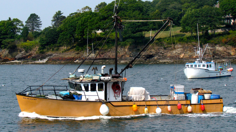 Lobster boats off Chebeague Island