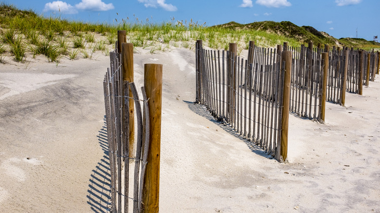 Fences on Onslow Beach