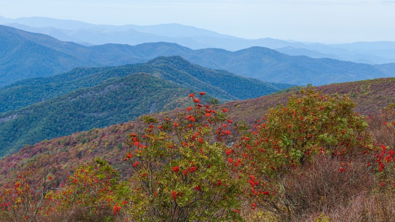 Art Loeb trail in Autumn