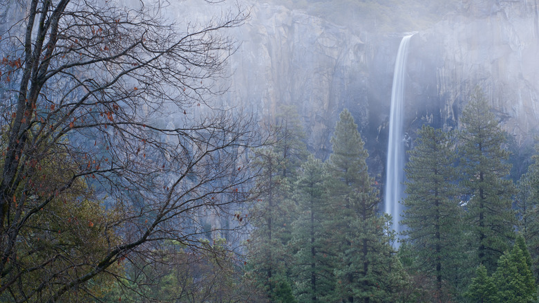 Foggy Bridalveil Falls in Yosemite