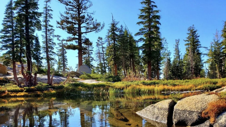 Grouse Lake in Yosemite National Park