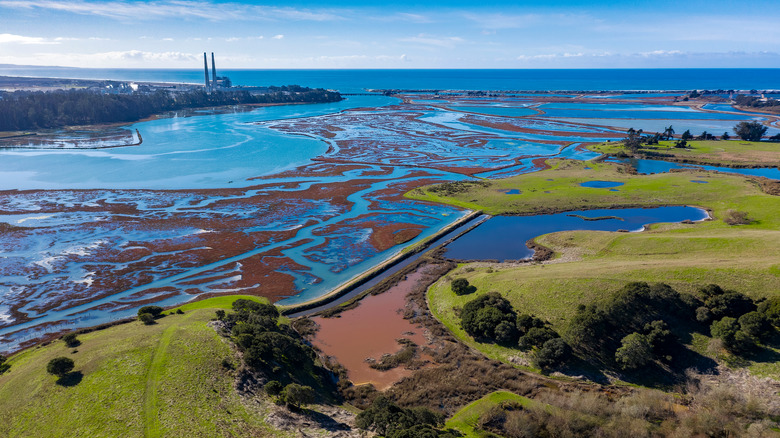 Aerial view of Moss Landing and Elkhorn Slough