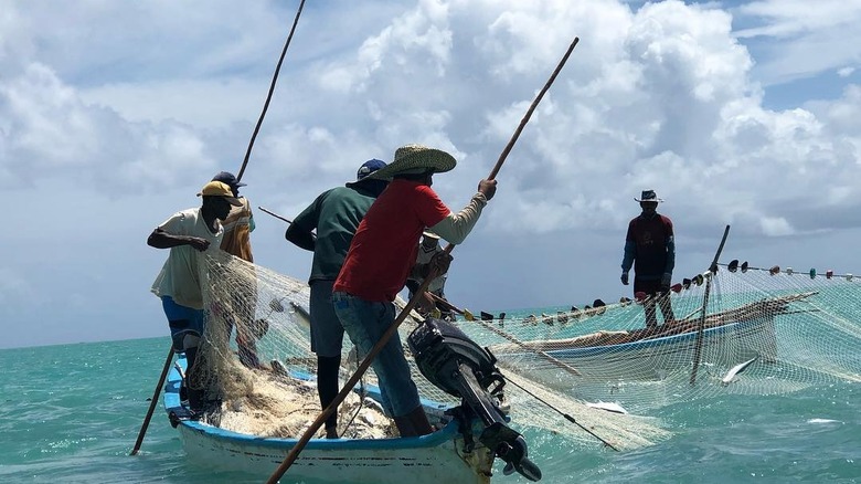 Rodrigues fishermen seine fishing