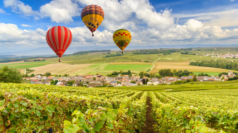 Float above Champagne's sprawling vineyards