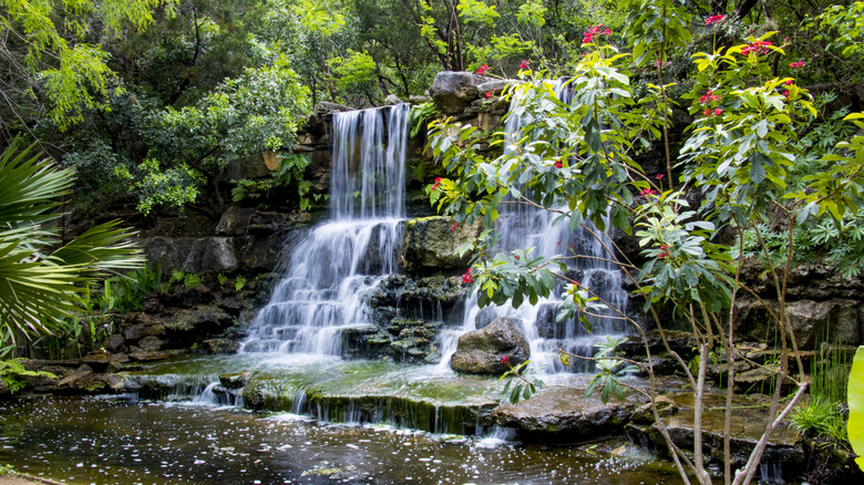 waterfall in Zilker Park's botanical garden in Austin, Texas