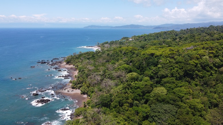 osa peninsula aerial view