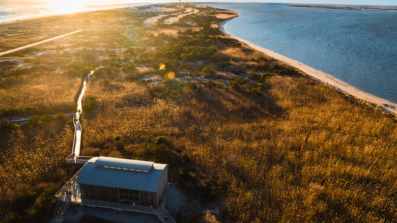 Aerial view of Fire Island 