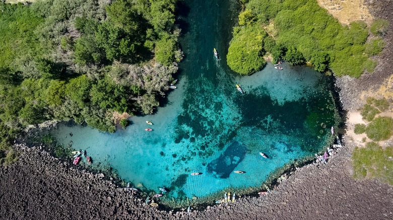 aerial view of kayakers at Blue Heart Springs