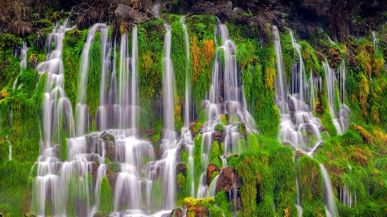 Niagara Springs falls in Idaho