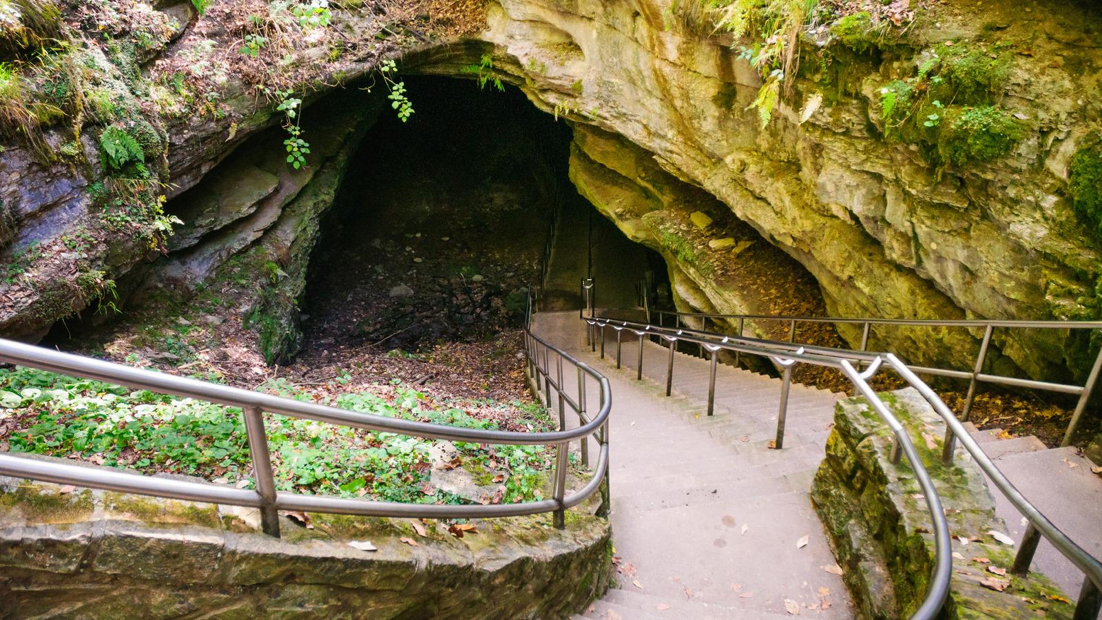 Mammoth Cave National Park Promises Unique Above And Underground Adventures