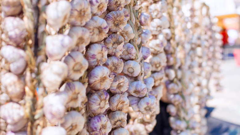 Garlic for sale