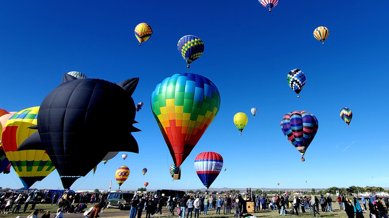 Albuquerque International Balloon Fiesta delights