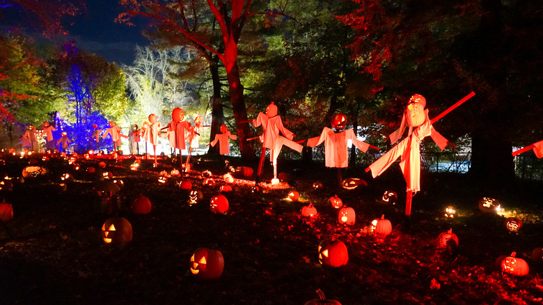 Great Jack O'Lantern Blaze