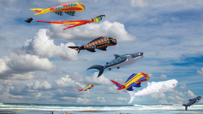 Kites at Lincoln City festival