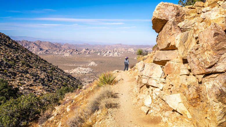 Hiking Ryan Mountain  