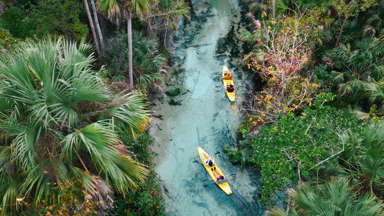 family kayaking in Florida