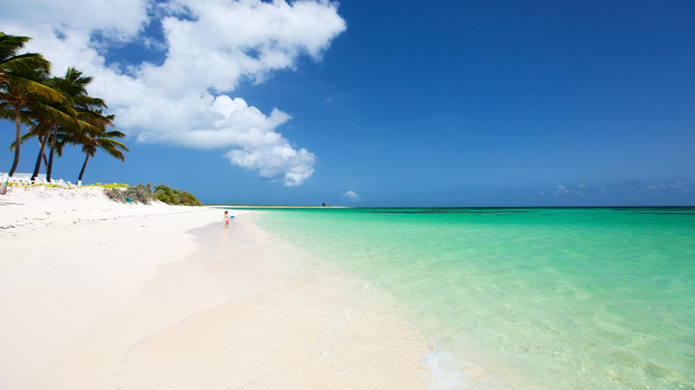 A person standing on the beach of Anegada in the British Virgin Islands on a clear day