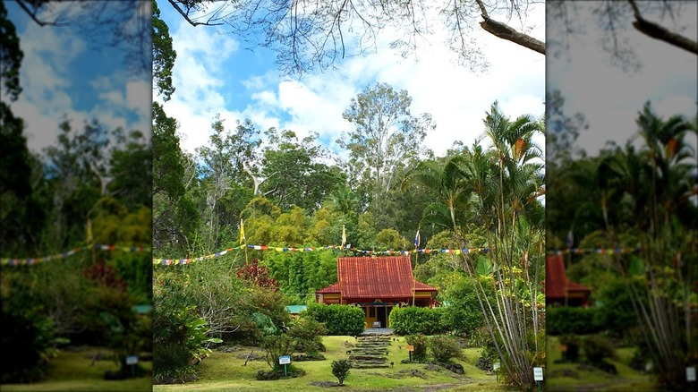 arriving at the Wood Valley Temple and Guest House