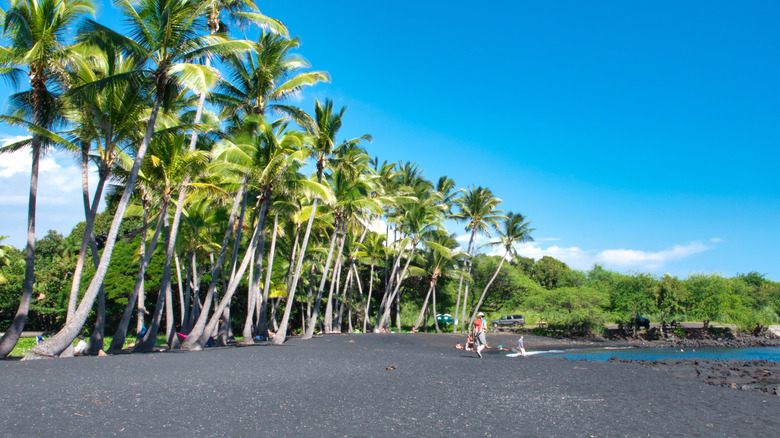 black sand beach in Kau