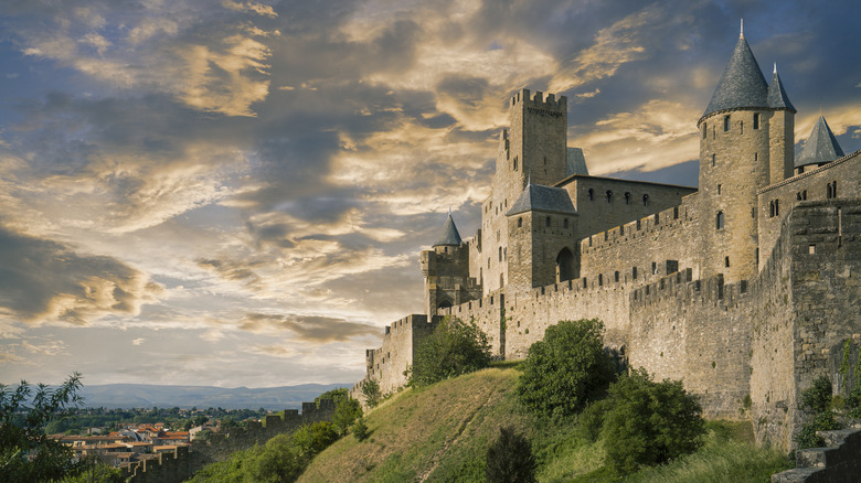 Carcassonne castle daylight