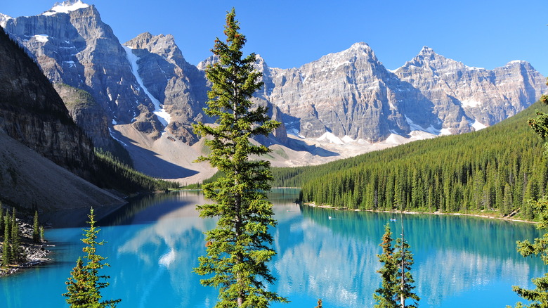 view of lake in mount revelstoke national park