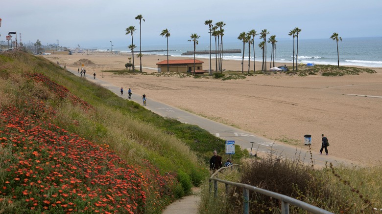 Dockweiler Beach 