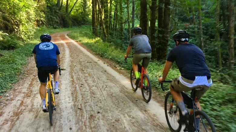 cyclists on Leif Erikson Drive in Forest Park