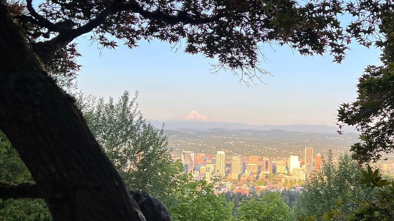 Portland skyline seen through trees