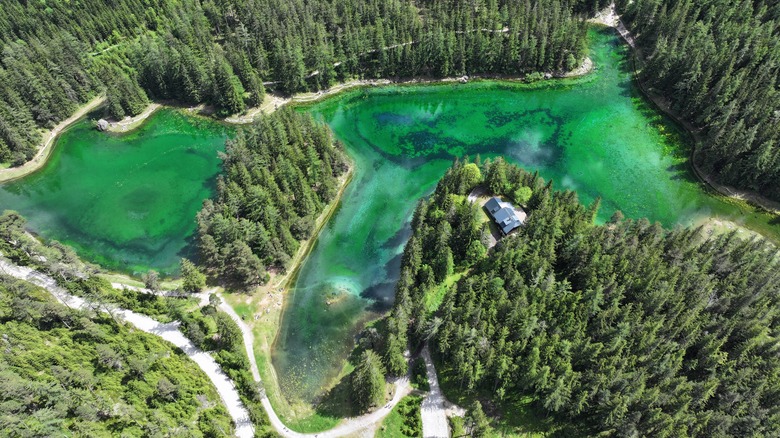 Overhead view of green alpine lake