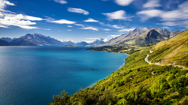 South Island coastline