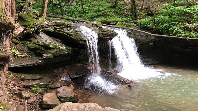 small waterfall frozen head state park