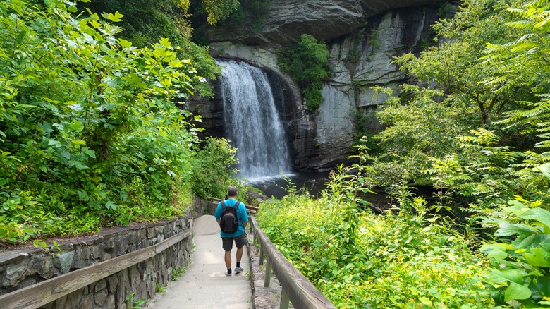 Looking Glass Falls in Pisgah State Park