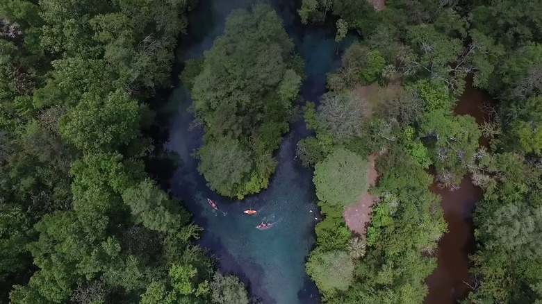 Tourists paddling on Econfina Creek