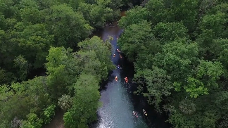 Tourists paddling on Econfina Creek