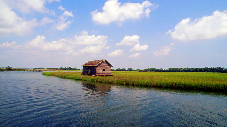 Oyster shack in the marsh