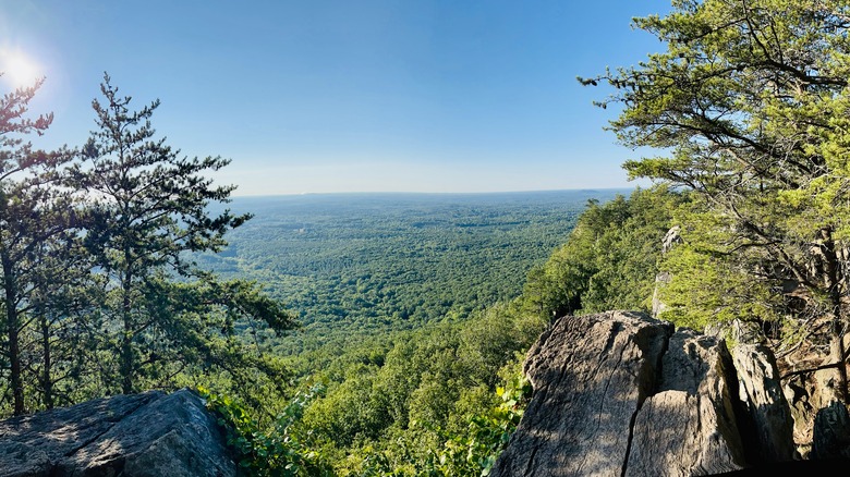 View of trees from Crowders Mountain State Park, North Carolina