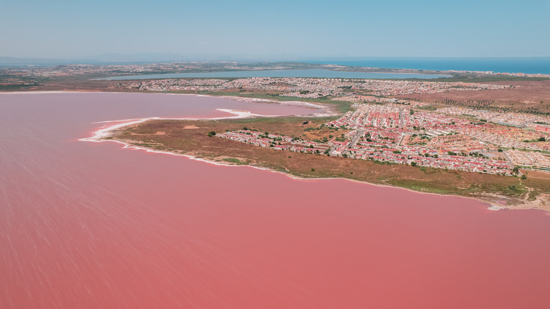 Pink Lake in Torrevieja, Spain