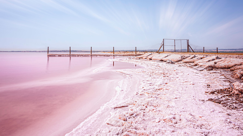 Pink lake in Spain