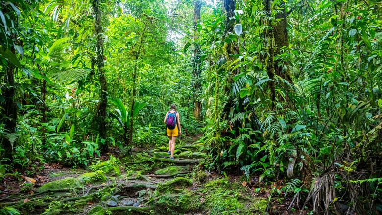 Woman hiking in Costa Rican jungle