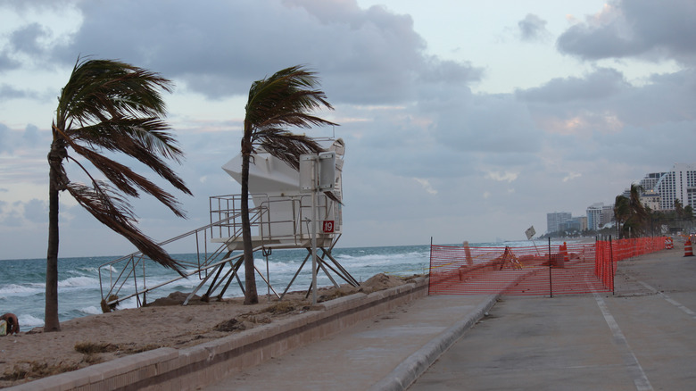 Fort Lauderdale beach after hurricane