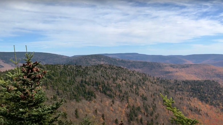 Views from the Devil's Path trail