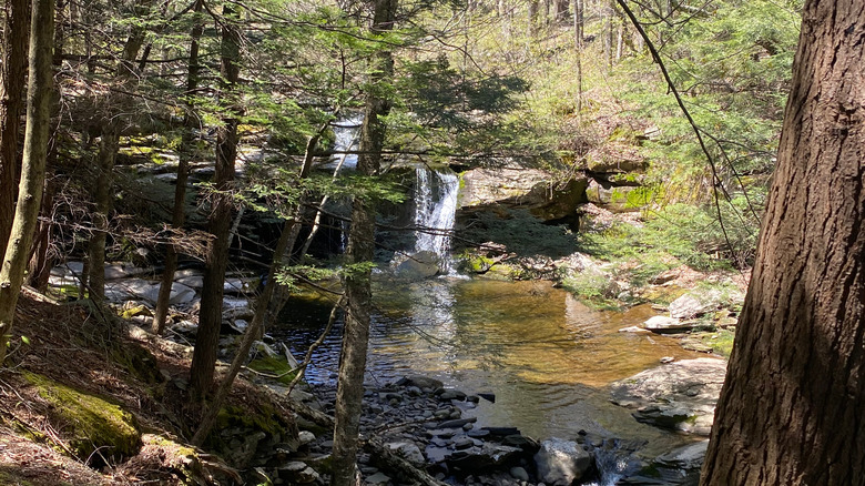 A small waterfall on the Devil's Path in the Catskills, New York