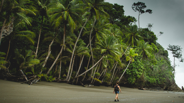 A woman walking on a beach