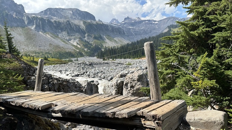 Footbridge on the Wonderland Trail