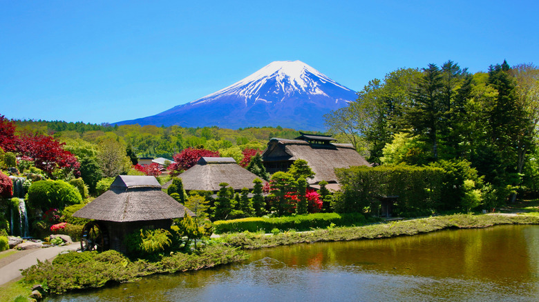 View of Mount Fuji from Oshino Hakkai