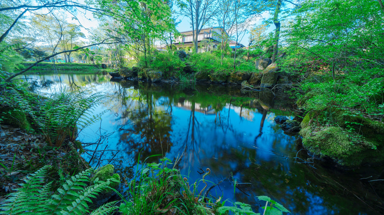 A pond, shrine, and green forest in Oshino Hakkai