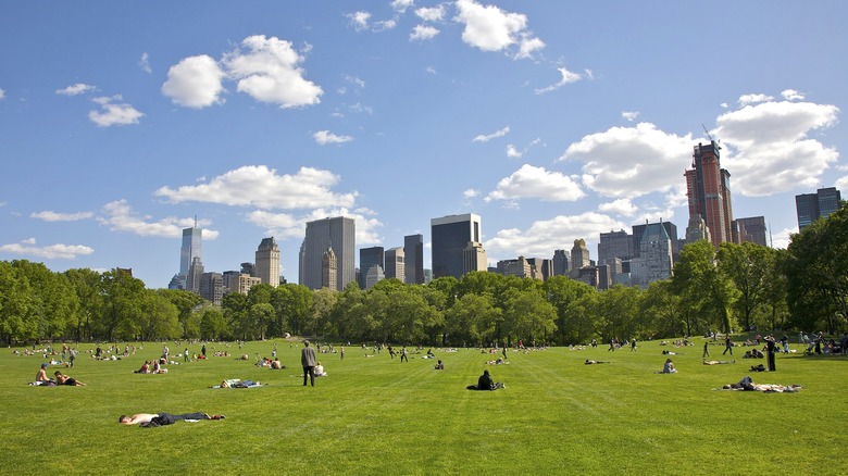 central park skyline nyc