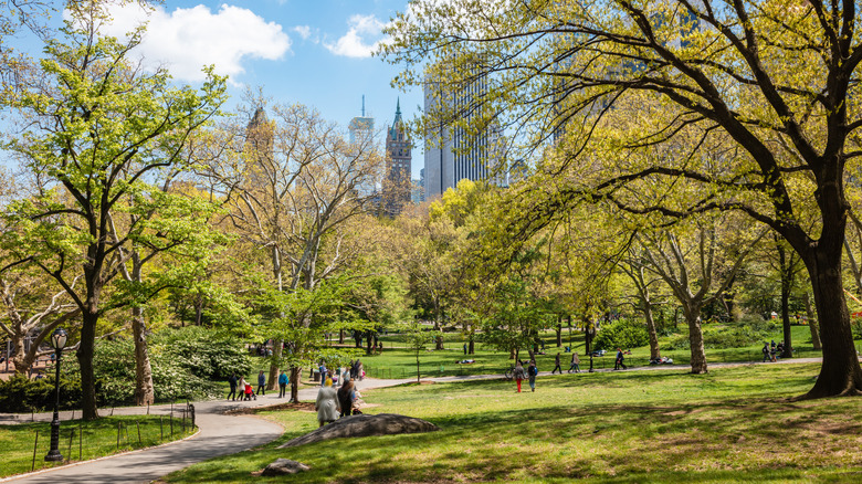 central park nyc