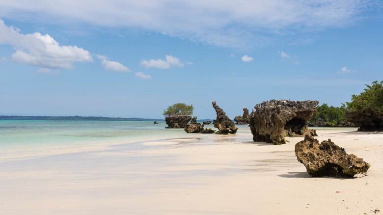 White sand beach in Pemba