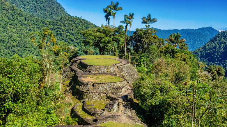 Stone terraces of the Ciudad Perdida in Colombia, surrounded by tree-lined hillsides.